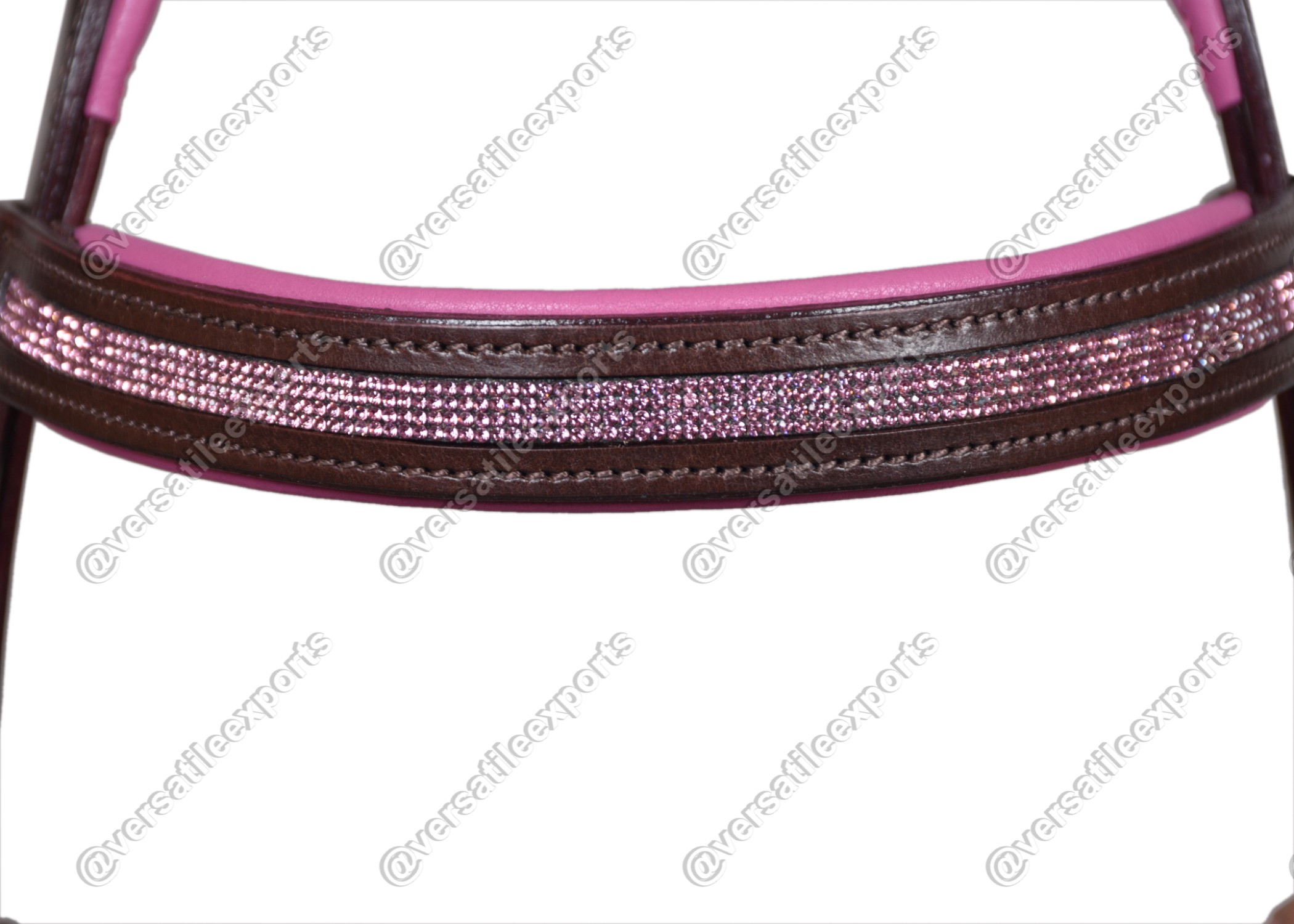 Bridle Shiny